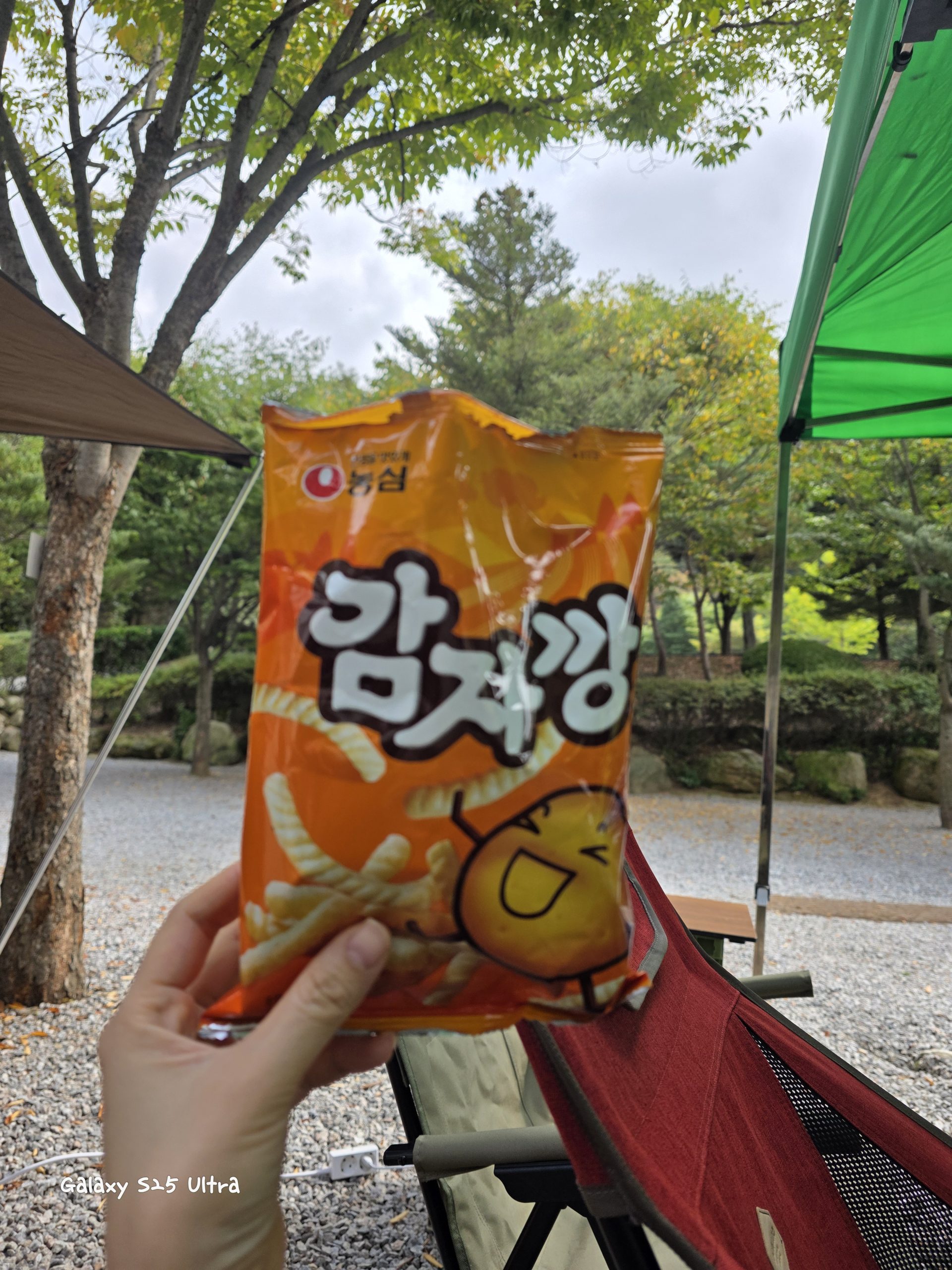 A close-up photograph capturing a hand holding a package of Nongshim Gamja-kkang (감자깡) Potato Snack at an outdoor campsite. The orange packaging features prominent Korean text '감자깡' and a cheerful cartoon character. The background includes lush green trees, part of a red camping chair, and gravel ground, suggesting a picnic or camping trip.